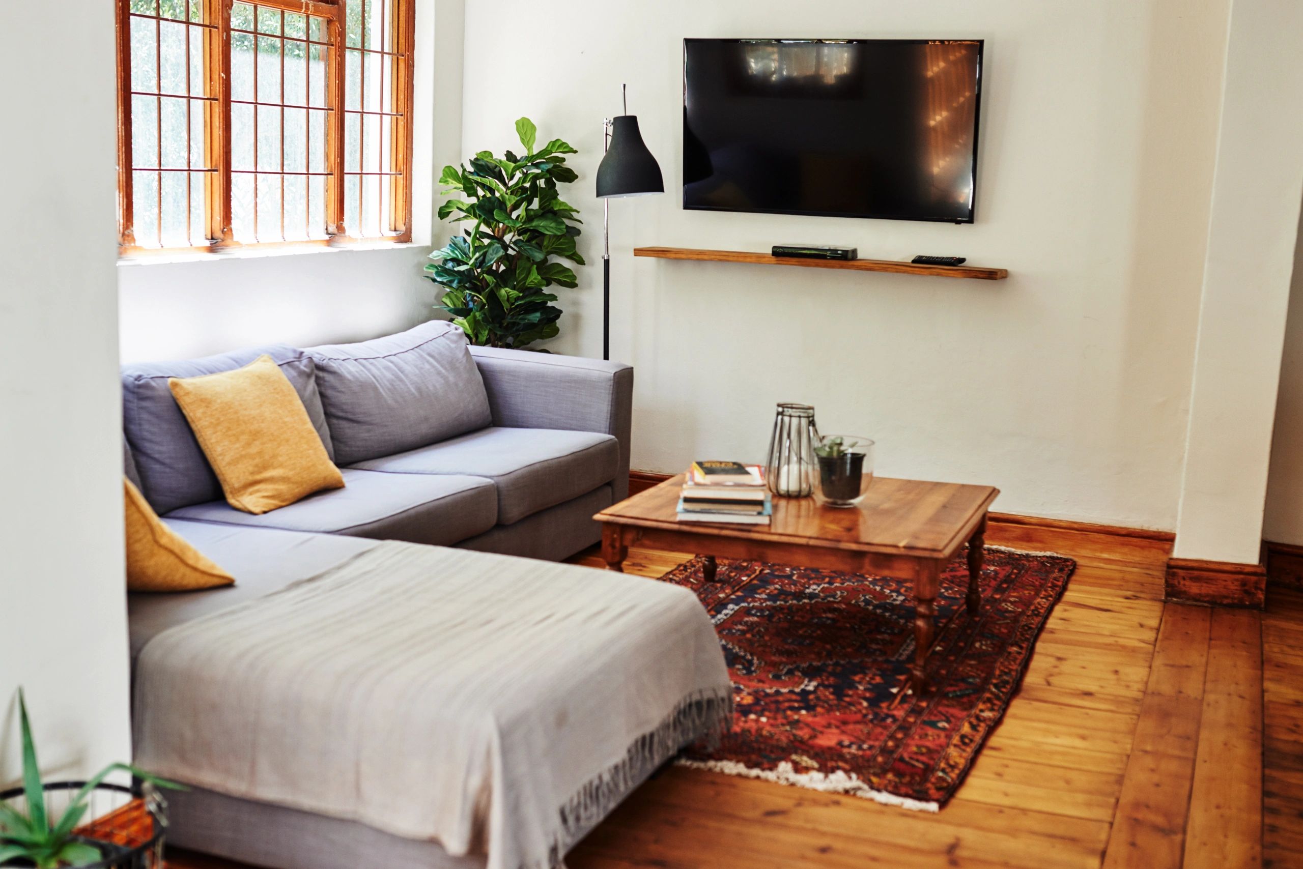 Cozy modern lounge area